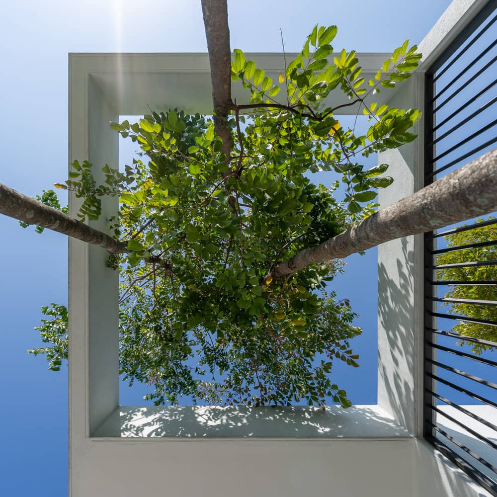 Ottiqa House — image 03