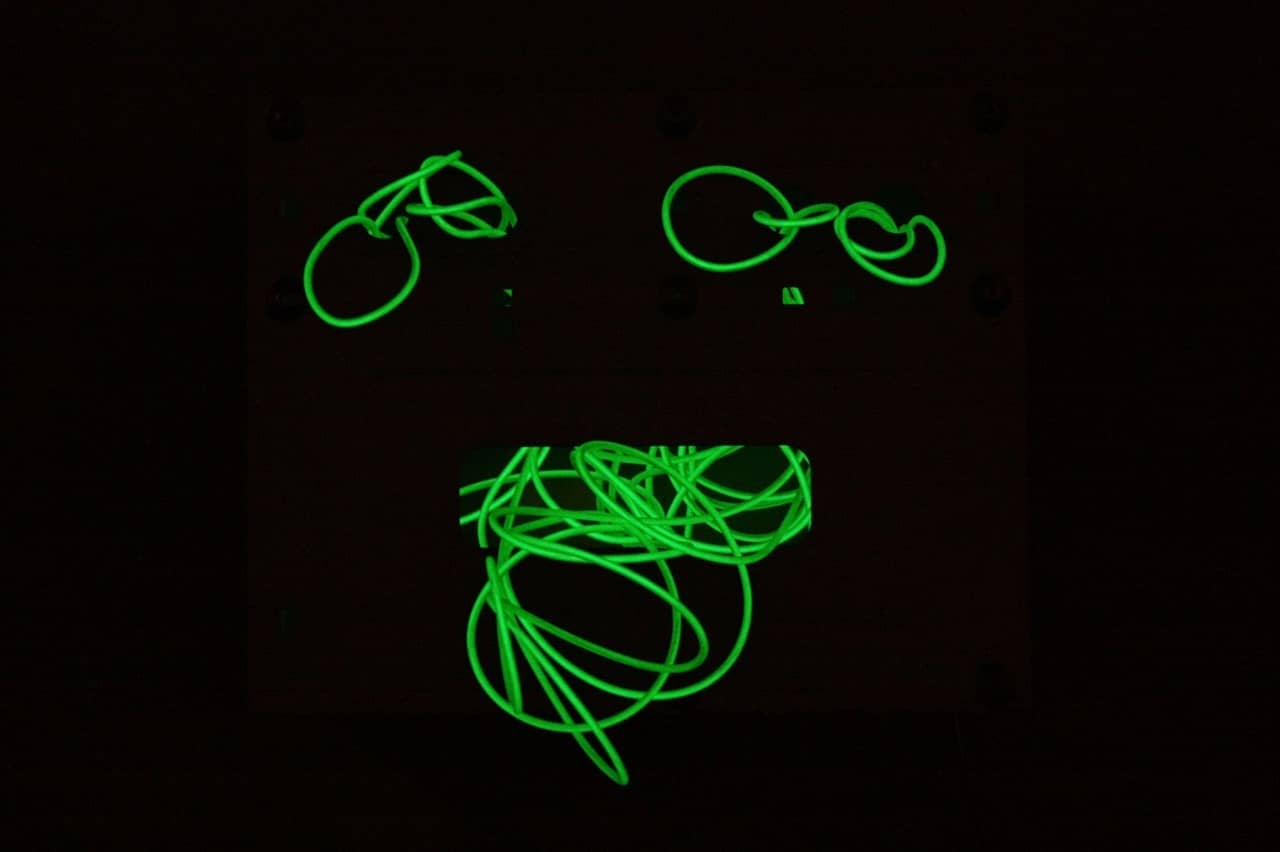 The Light Show — image 07